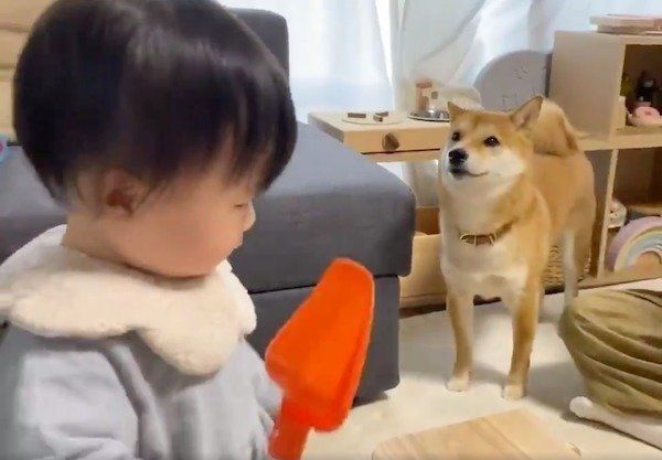 音遊びに飛び込み参加するりんご郎くん