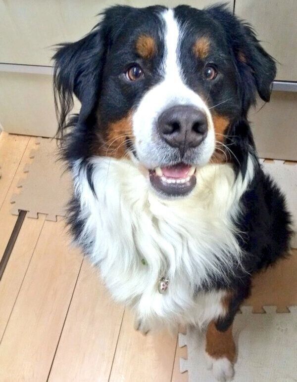 笑顔のココちゃん