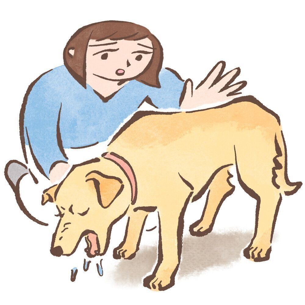 イラスト／太田麻衣子