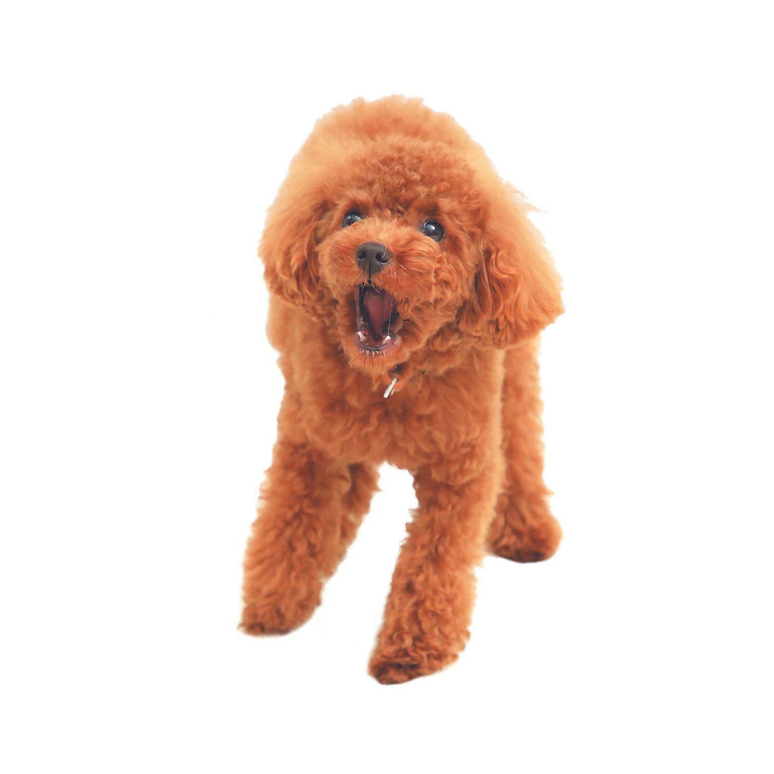 撮影／尾﨑たまき