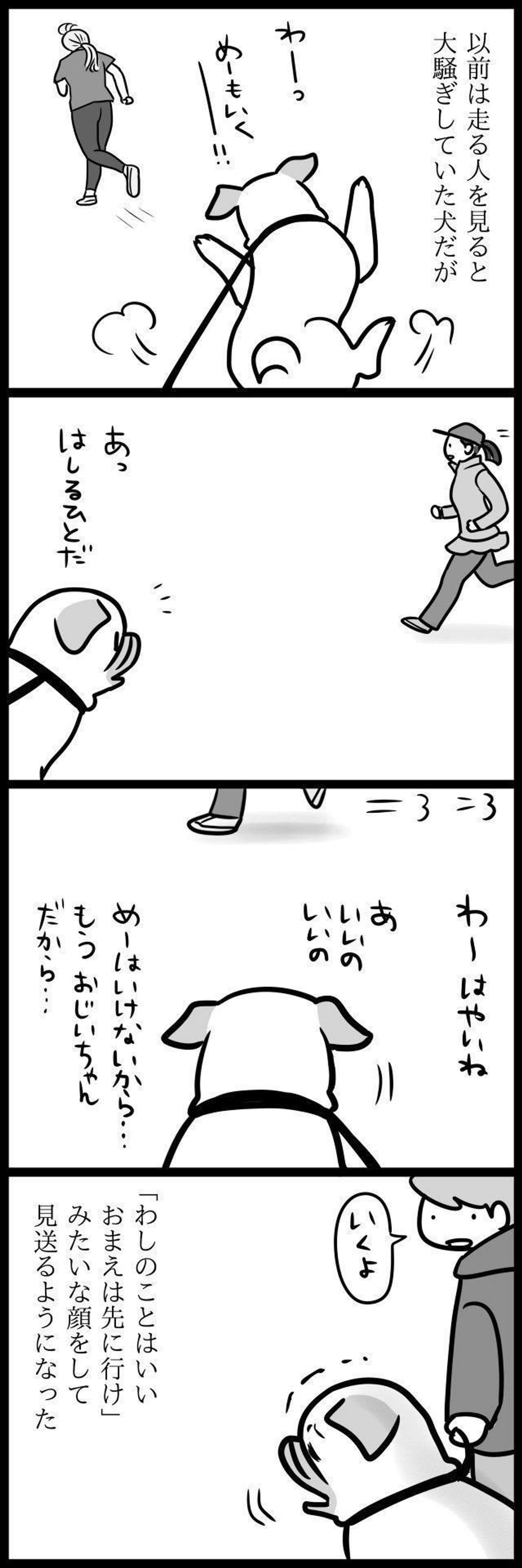 わしはいいから先に行け 連載 パグ犬 めー Vol 34 いぬのきもちweb Magazine わしはいいから先に行け 連載 パグ犬 めー Vol 34 いぬのきもちweb Magazine