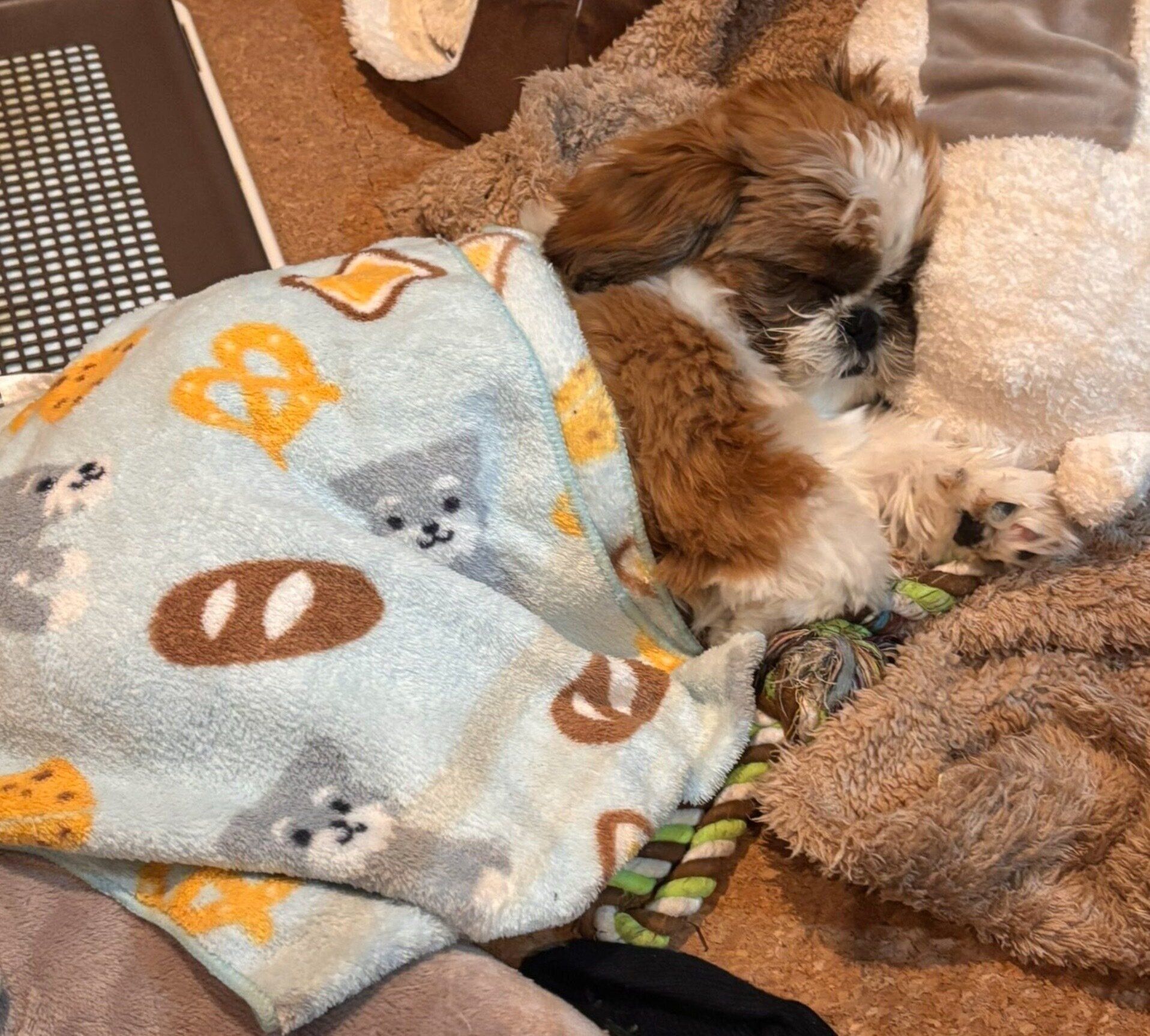 気持ちよさそうに眠るちゃむくん