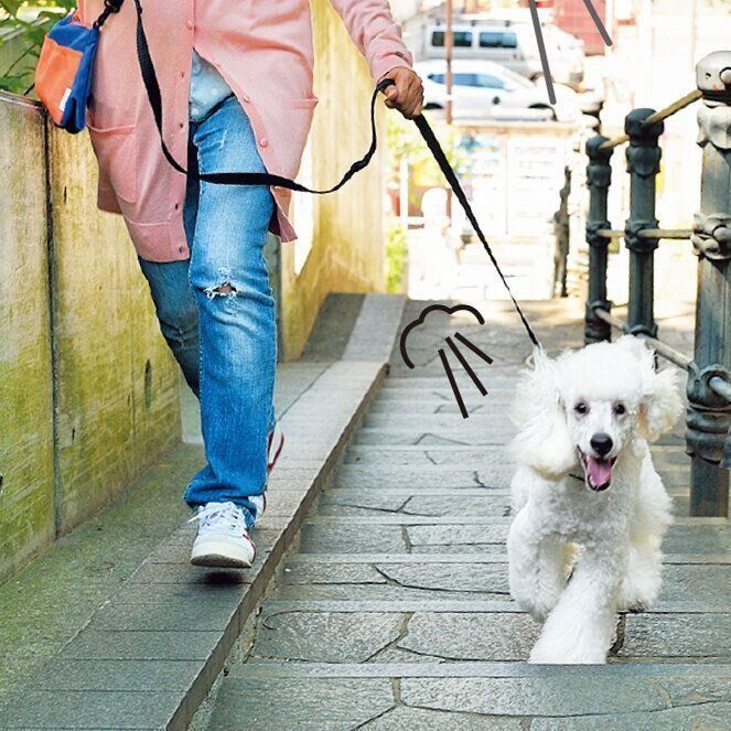 撮影／佐藤正之