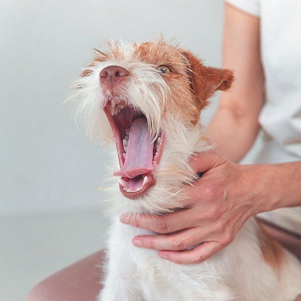 撮影／伊東武志