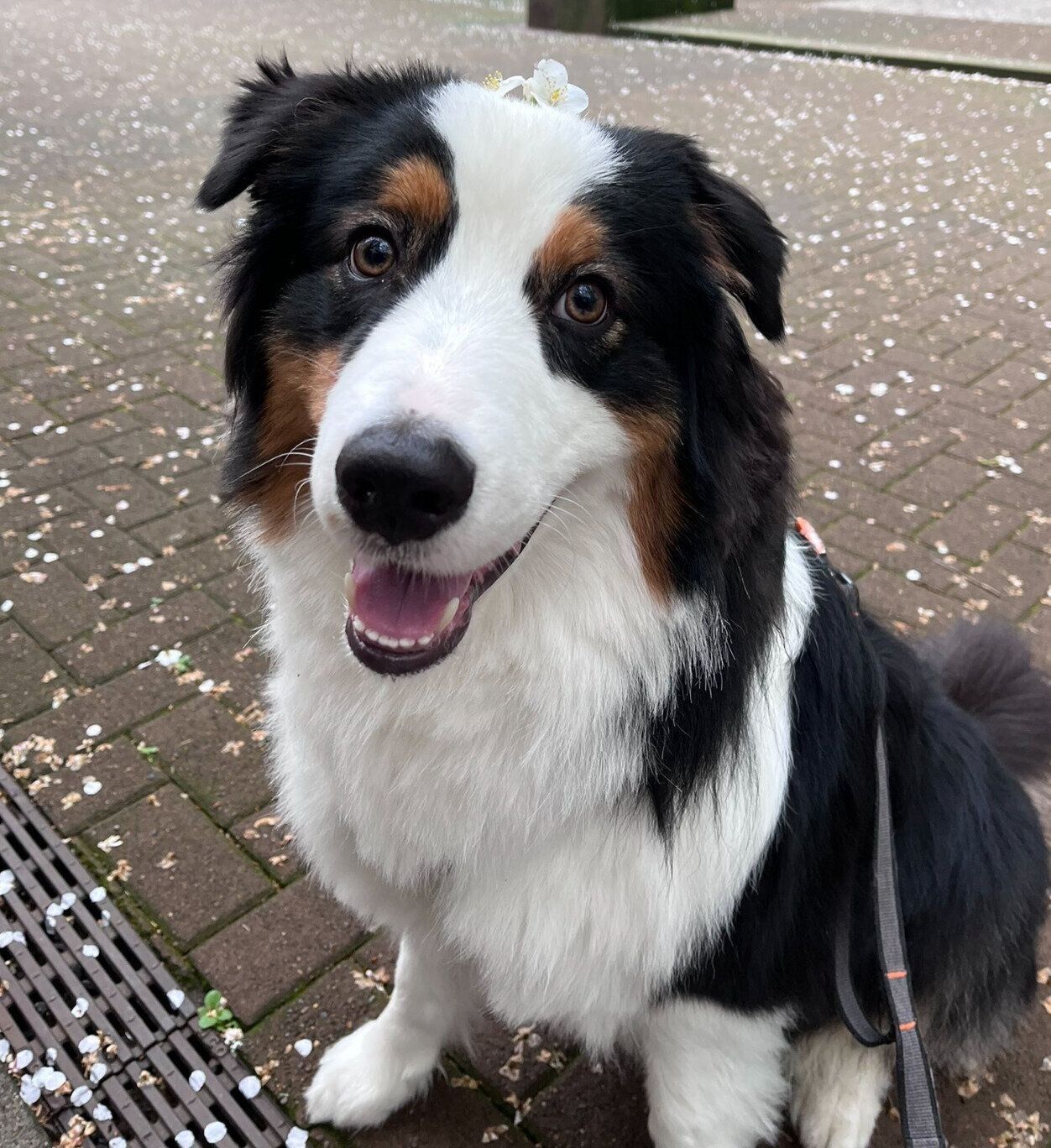 ニコニコ笑顔のコペルニクスくん