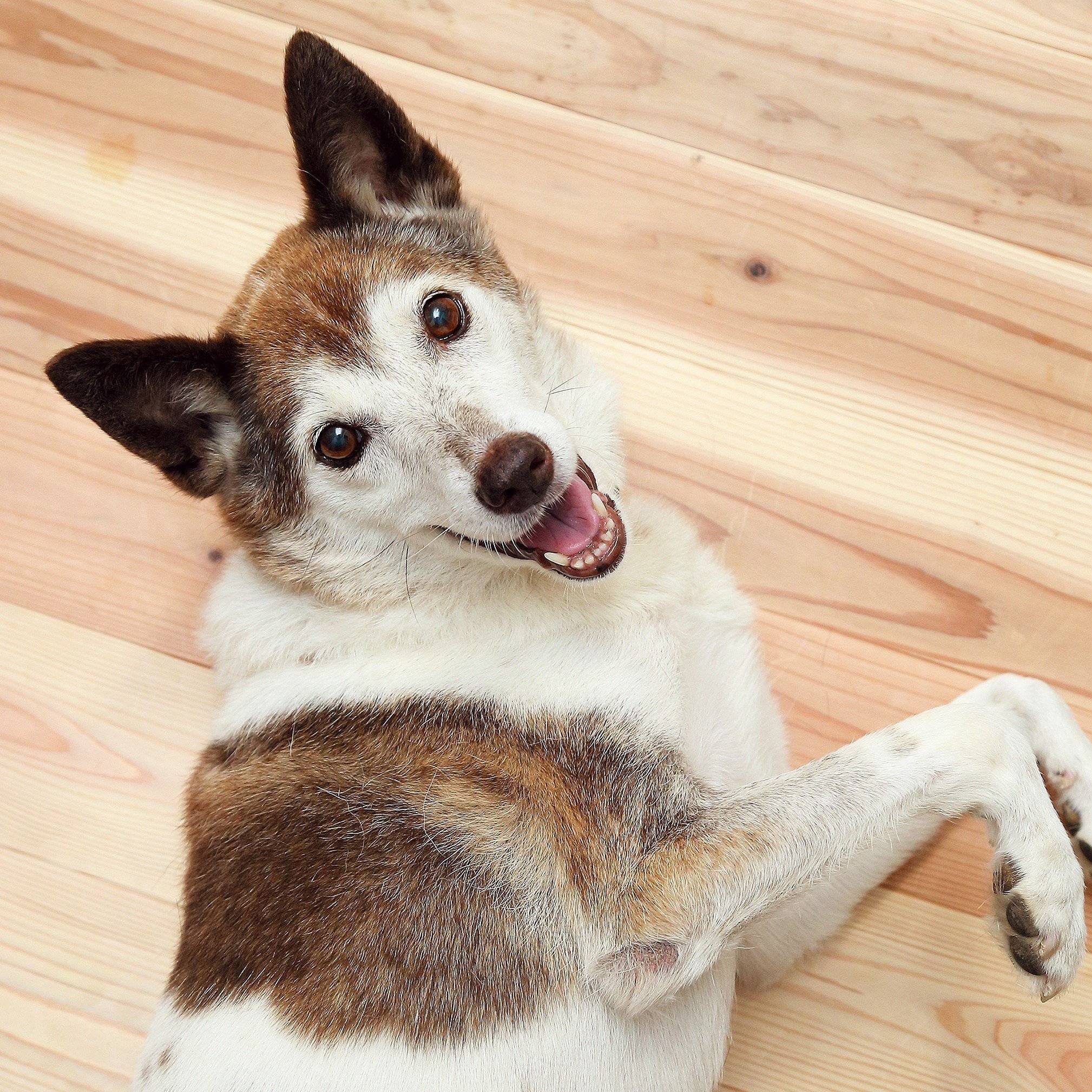 <span style="font-size:smaller;">撮影／尾﨑たまき</span>