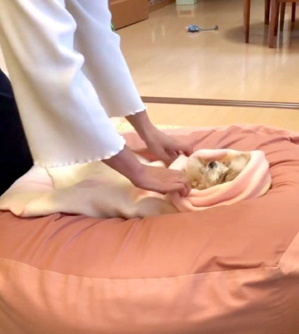 おくるみで包まれるあんずちゃん