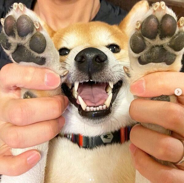 笑顔のこたろうくん