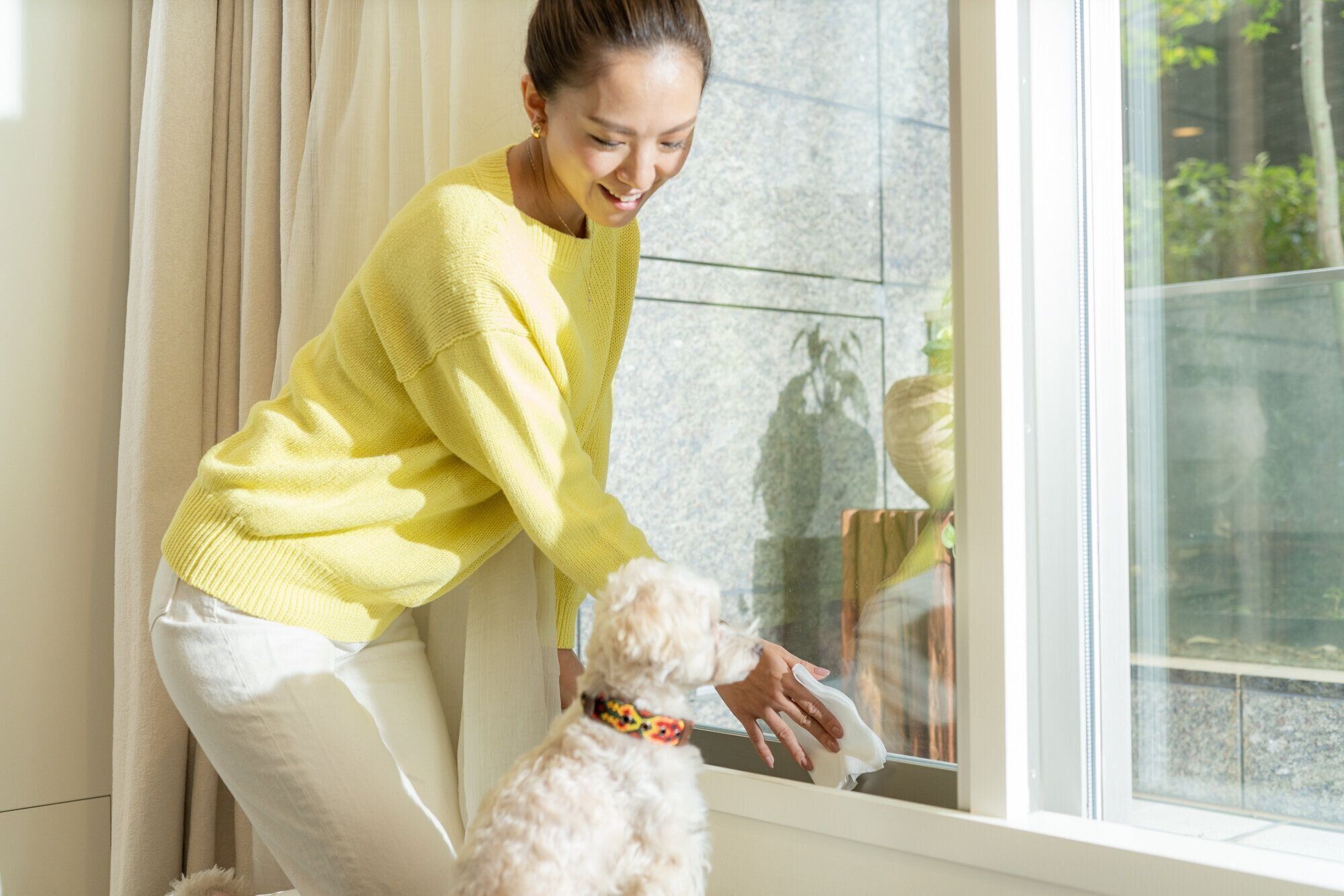 窓辺の掃除とミックス犬
