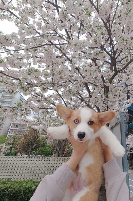 一年前のまりんちゃん
