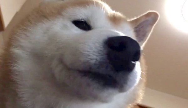 見下ろすロペさん