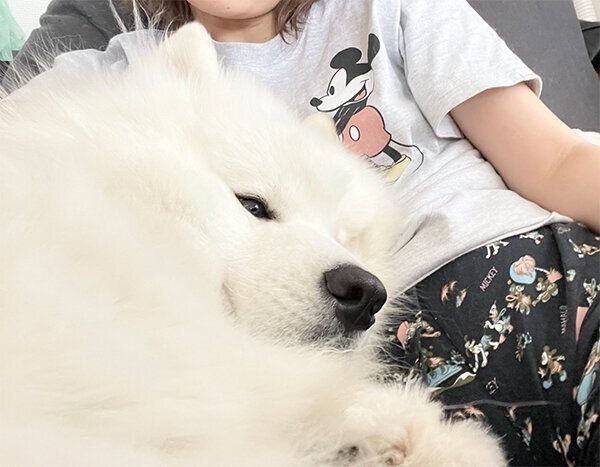 くつろぐソランくん