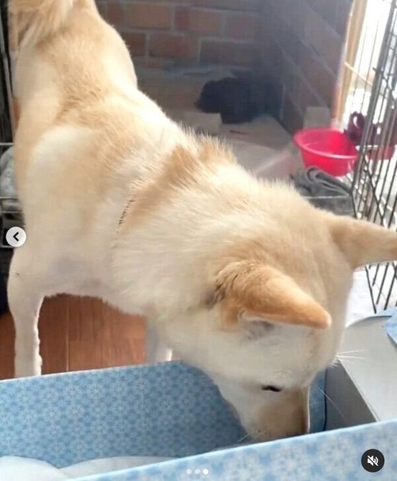 長男くんとお別れをするモチ代さん