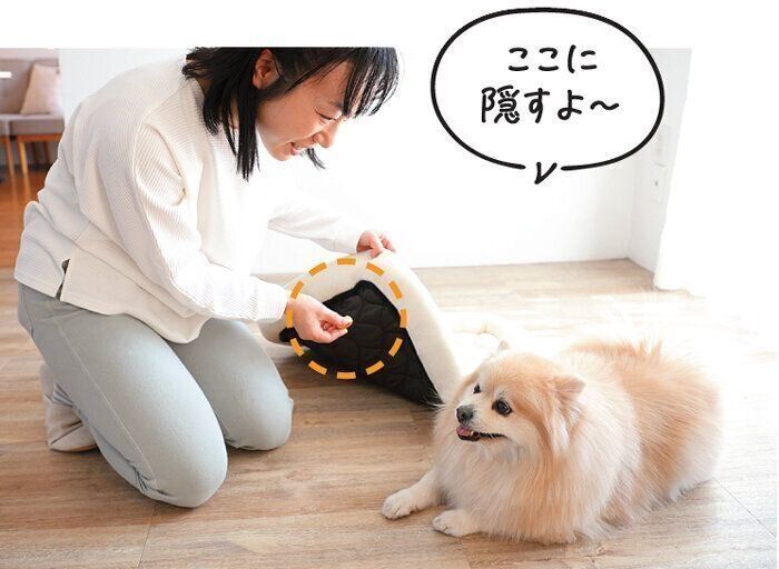 自宅では宝探しがおすすめ