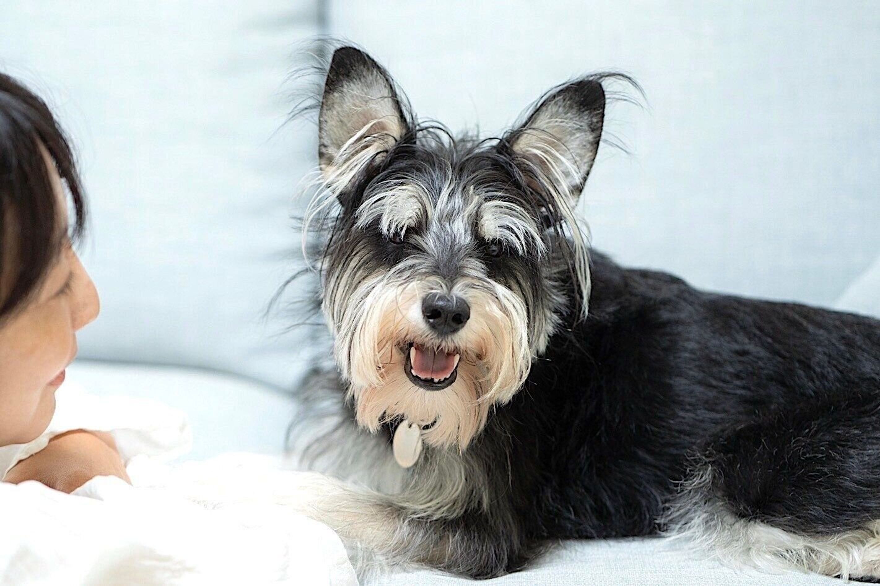 Pr うちのコの おいしい顔 が見たくて たどりついたのは国産の ピュアなフード でした いぬのきもちweb Magazine Pr うちのコの おいしい顔 が見たくて たどりついたのは国産の ピュアなフード でした いぬのきもちweb Magazine