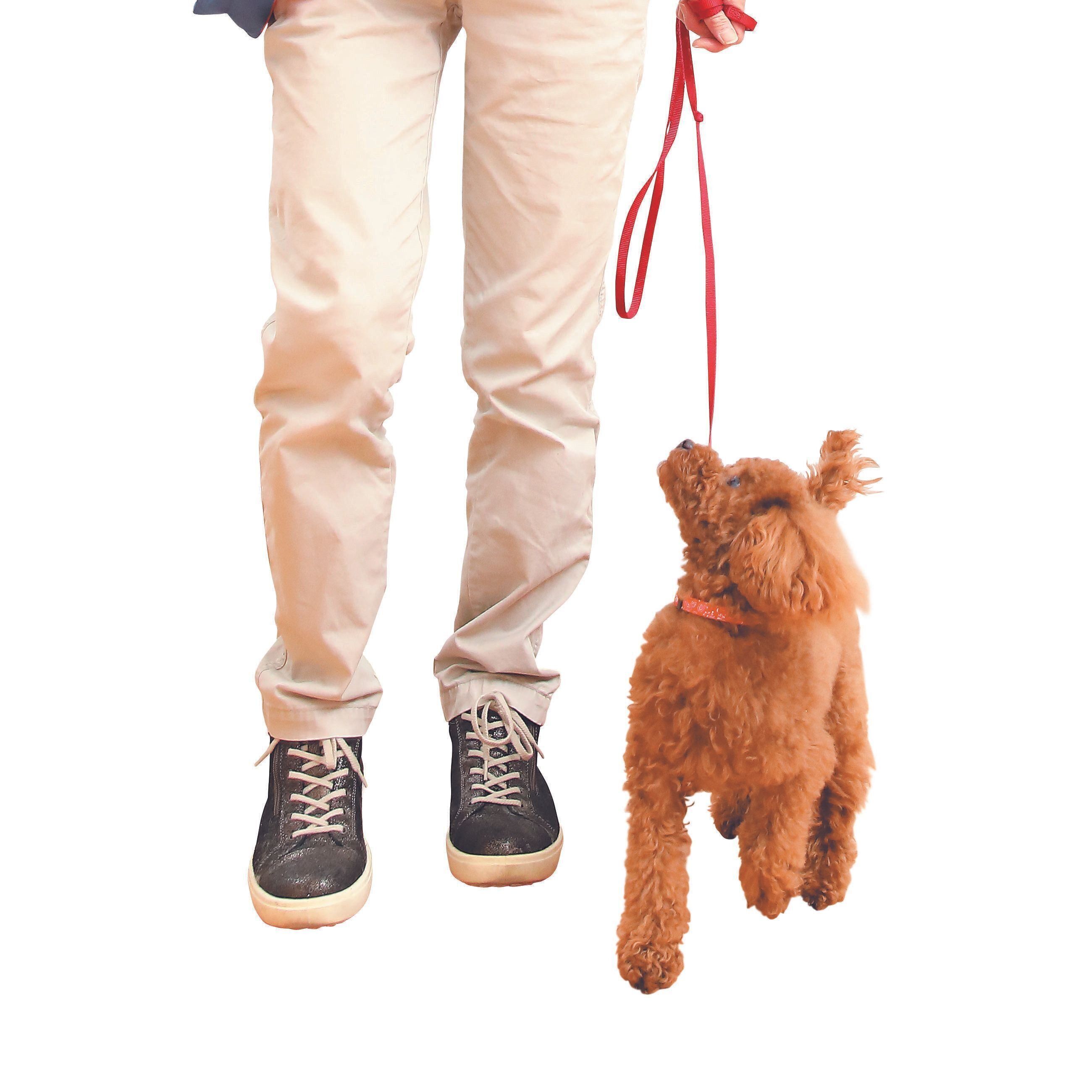 吠えるより先に安心させて回避