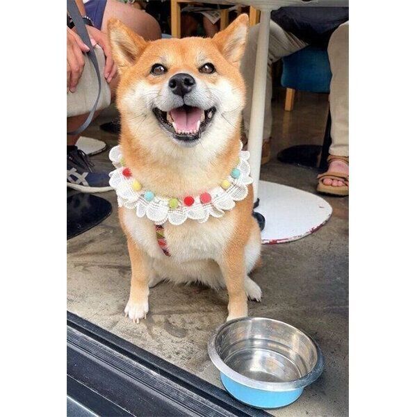 笑顔が可愛いももっぷちゃん