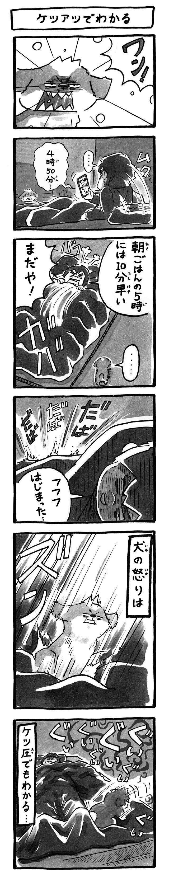 シーズー犬マンガてんぽshihtzu