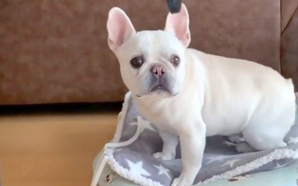 驚くマシューくん