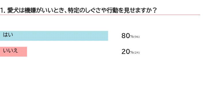 犬のご機嫌サインは？