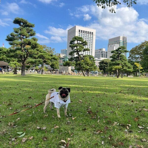 楽しそうなモモちゃん