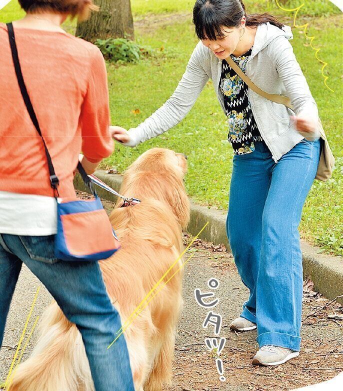 飛びついたらヘソ止まりで引き戻す