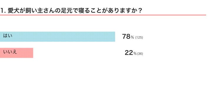 信頼関係がある証 犬が飼い主の 足元 で寝る心理 獣医師解説 いぬのきもちweb Magazine