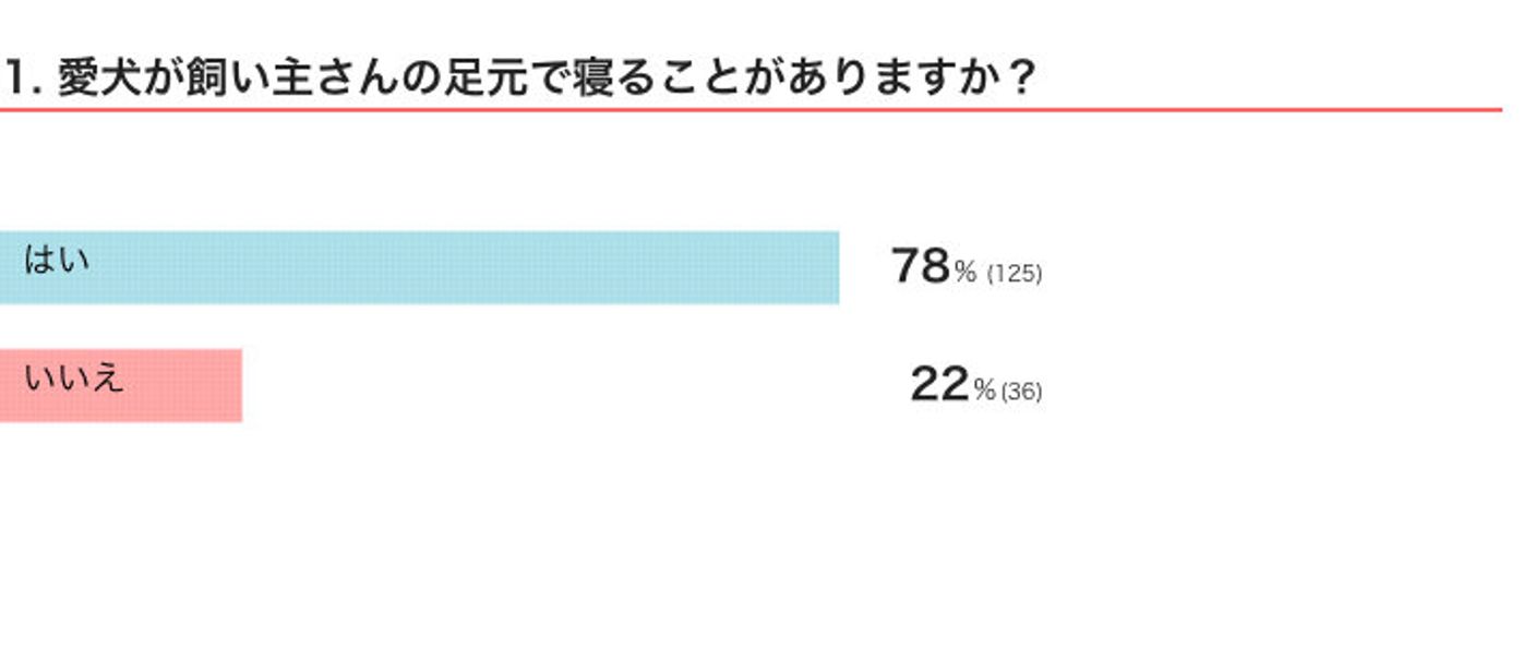 信頼関係がある証 犬が飼い主の 足元 で寝る心理 獣医師解説 いぬのきもちweb Magazine 信頼関係がある証 犬が飼い主の 足元 で寝る心理 獣医師解説 いぬのきもちweb Magazine