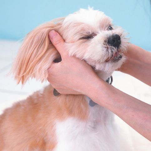 撮影／尾﨑たまき