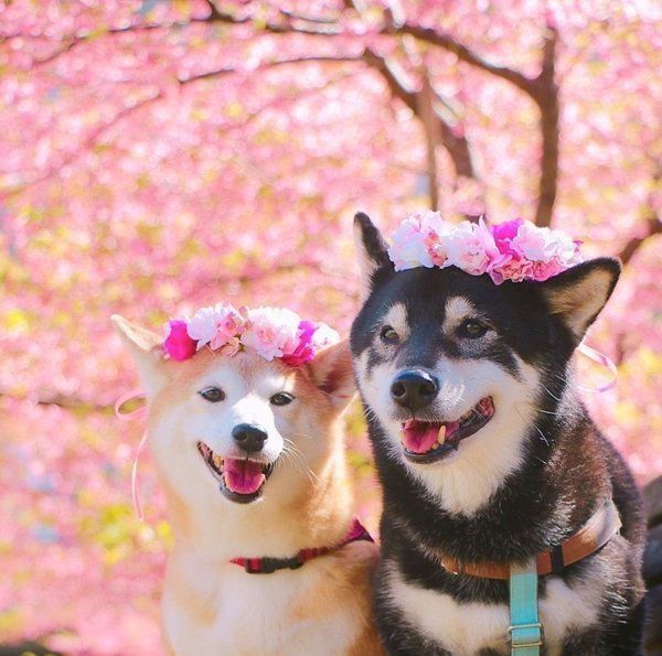 寄り添うゆりあちゃんとけんしろうくん