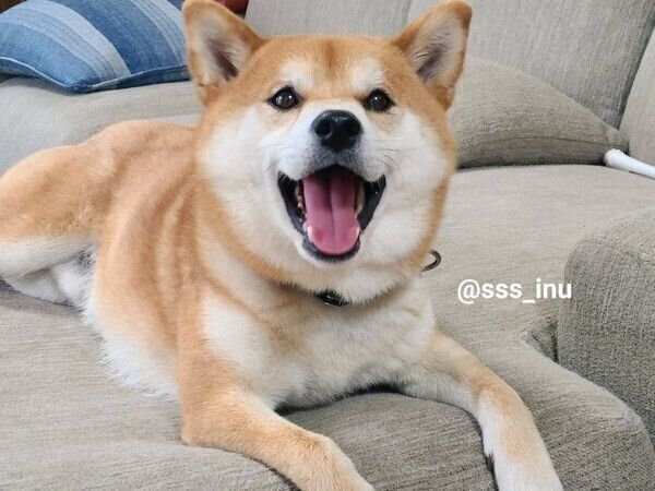 笑顔が可愛い麦くん