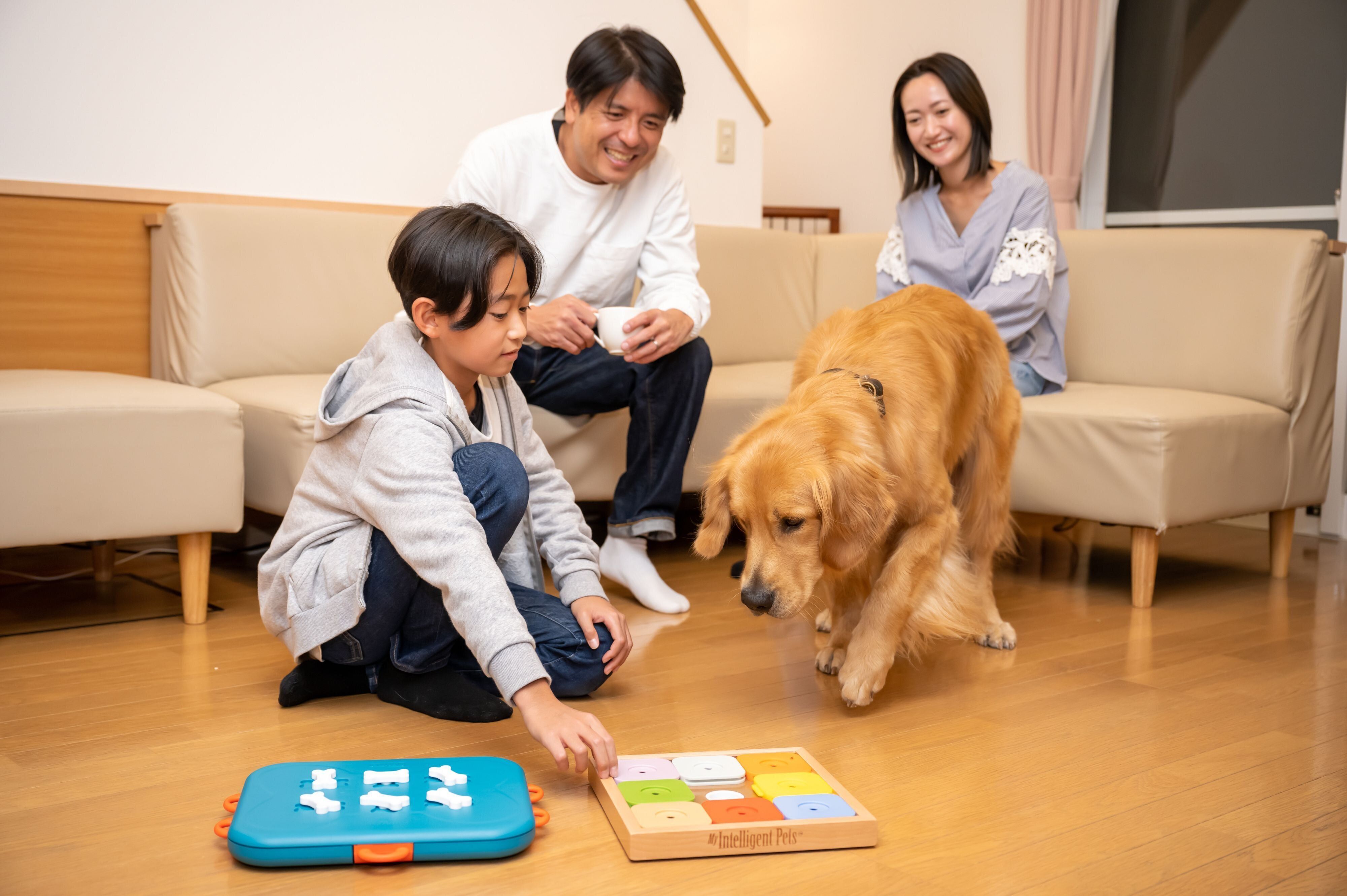 客室でゲームを楽しむ家族と犬