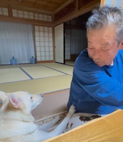 じぃちゃんに構ってほしいきな子ちゃん