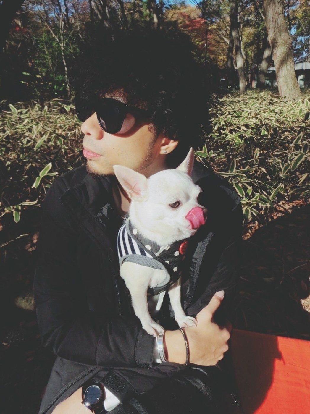 弟みたいで恋人みたいなチワワが好き 吉田山田の期間限定連載 チャーリーとぼく いぬのきもちweb Magazine 弟みたいで恋人みたいなチワワが好き 吉田山田の期間限定連載 チャーリーとぼく いぬのきもちweb Magazine