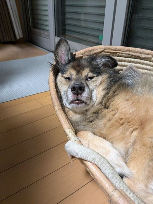リラックス全開といった様子陸くん かわいすぎる