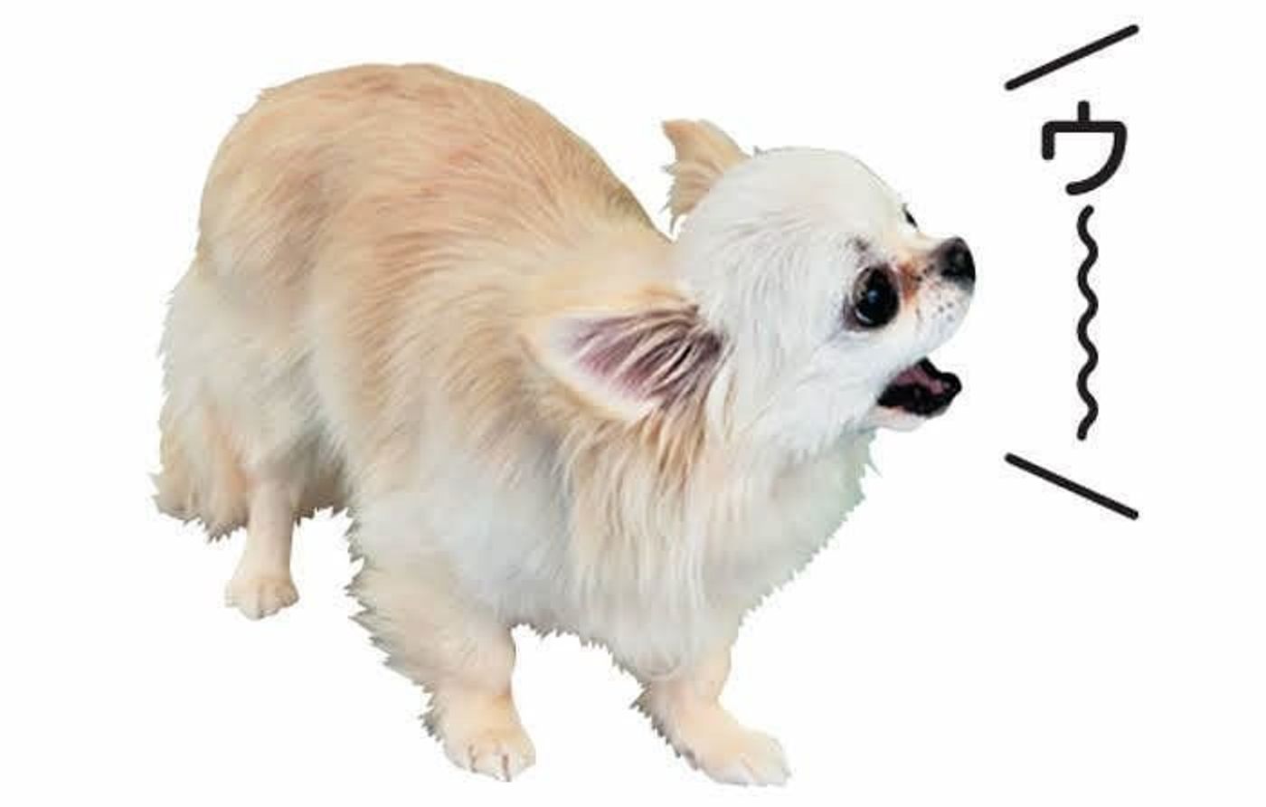犬が怖がるときのしぐさや行動を写真付きで解説 愛犬を苦手なものから守ろう いぬのきもちweb Magazine 犬が怖がるときのしぐさや行動を写真付きで解説 愛犬を苦手なものから守ろう いぬのきもちweb Magazine