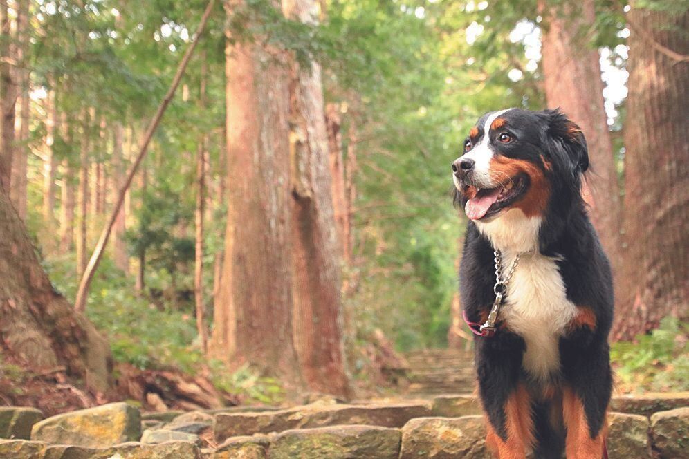 写真提供／Gさん