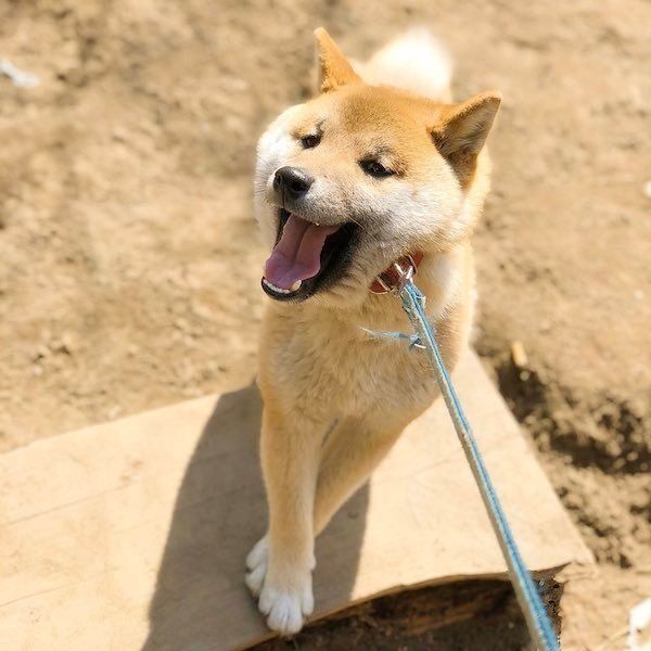 嫌いなものに過剰反応するそらくん