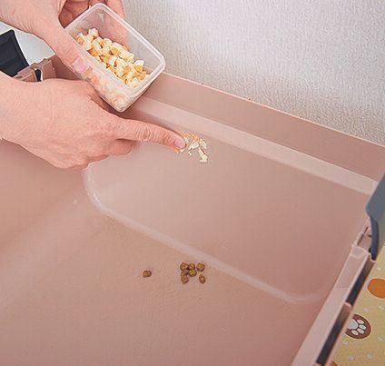 ※写真はわかりやすいように、クレートの上半分をはずした状態にしています