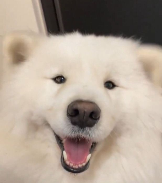 耳がピコピコと動いています!