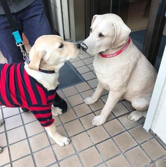 ラブとラブの置物