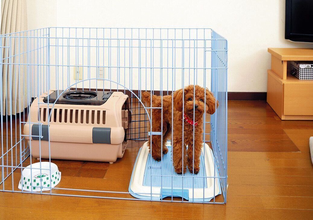 ちなみにこれはサークルです。