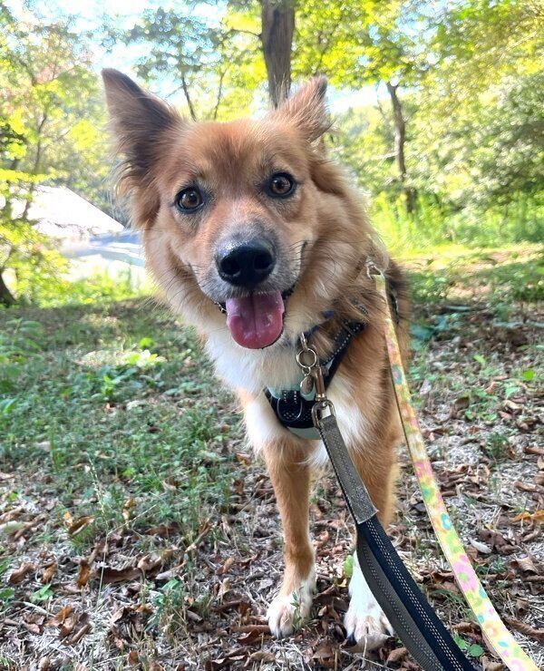 笑顔が可愛いトリスタンくん