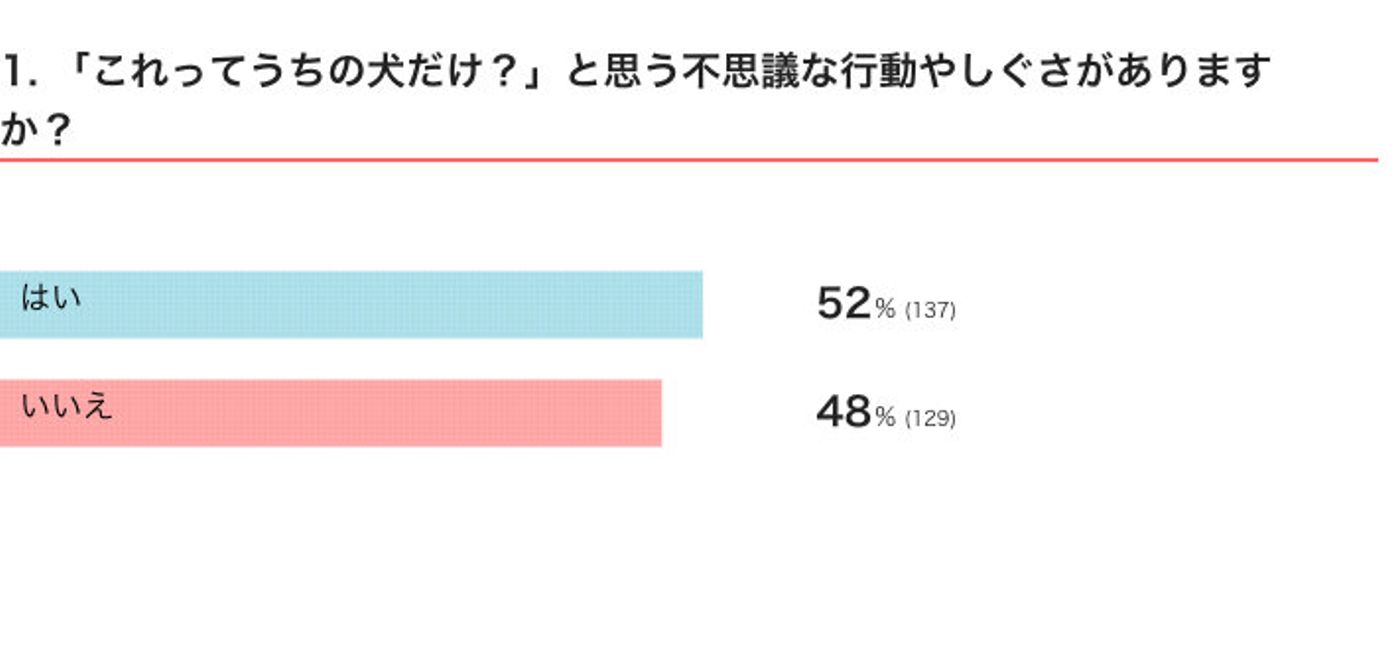 犬の不思議な行動 うちのコだけ と感じる驚きのエピソードが続々と集まった いぬのきもちweb Magazine 犬の不思議な行動 うちのコだけ と感じる驚きのエピソードが続々と集まった いぬのきもちweb Magazine