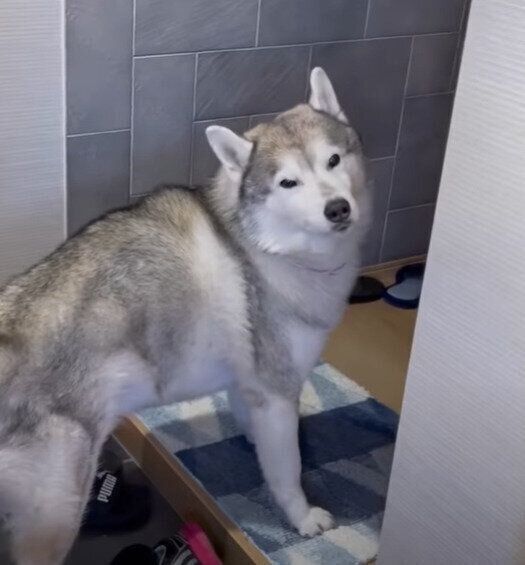 眠そうな文太くん