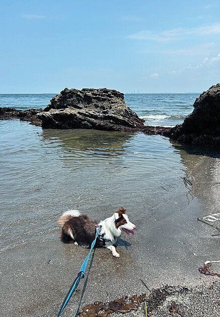 写真提供/Iさん