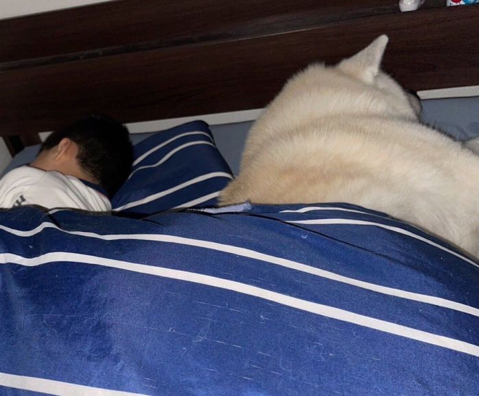 息子さんの隣で眠る凛太郎くん