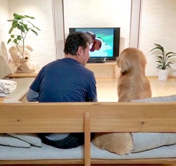 パパさんとテレビを見るアランくん