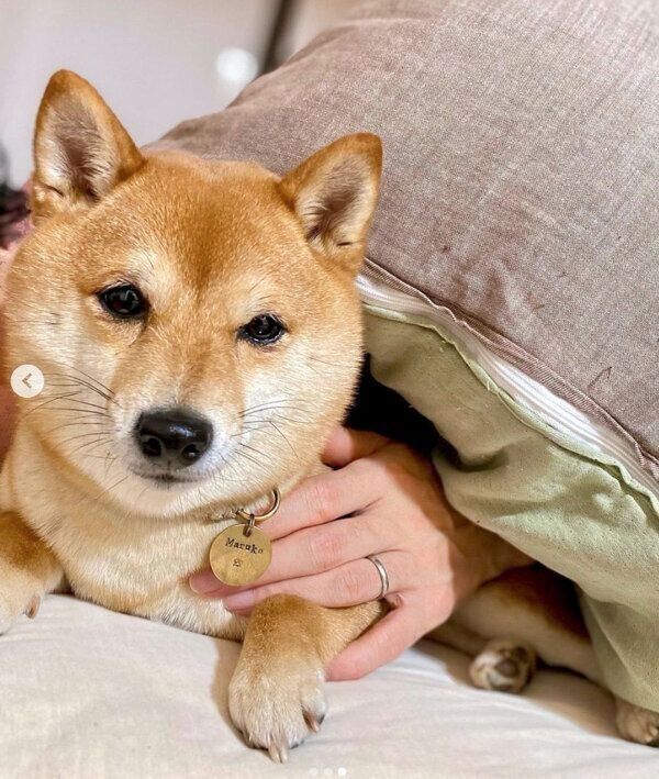 甘えるまるこちゃん