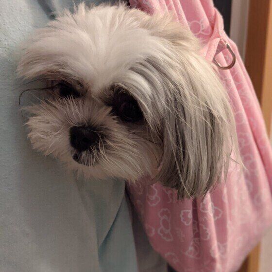 Mixのラルちゃん